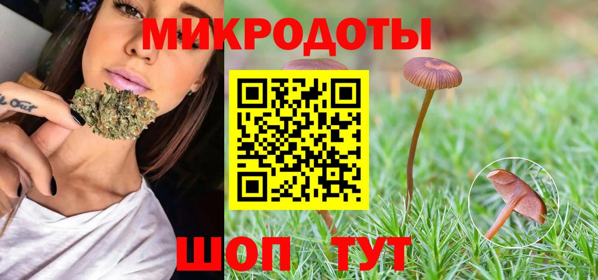 Галлюциногенные грибы Psilocybine cubensis  Вход с VPN  Надым 