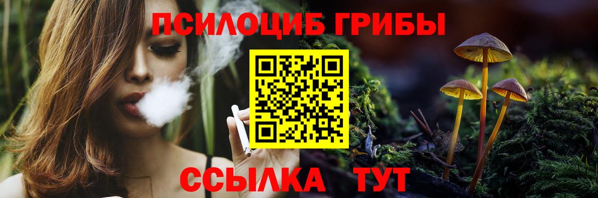 Псилоцибиновые грибы Psilocybine cubensis Надым